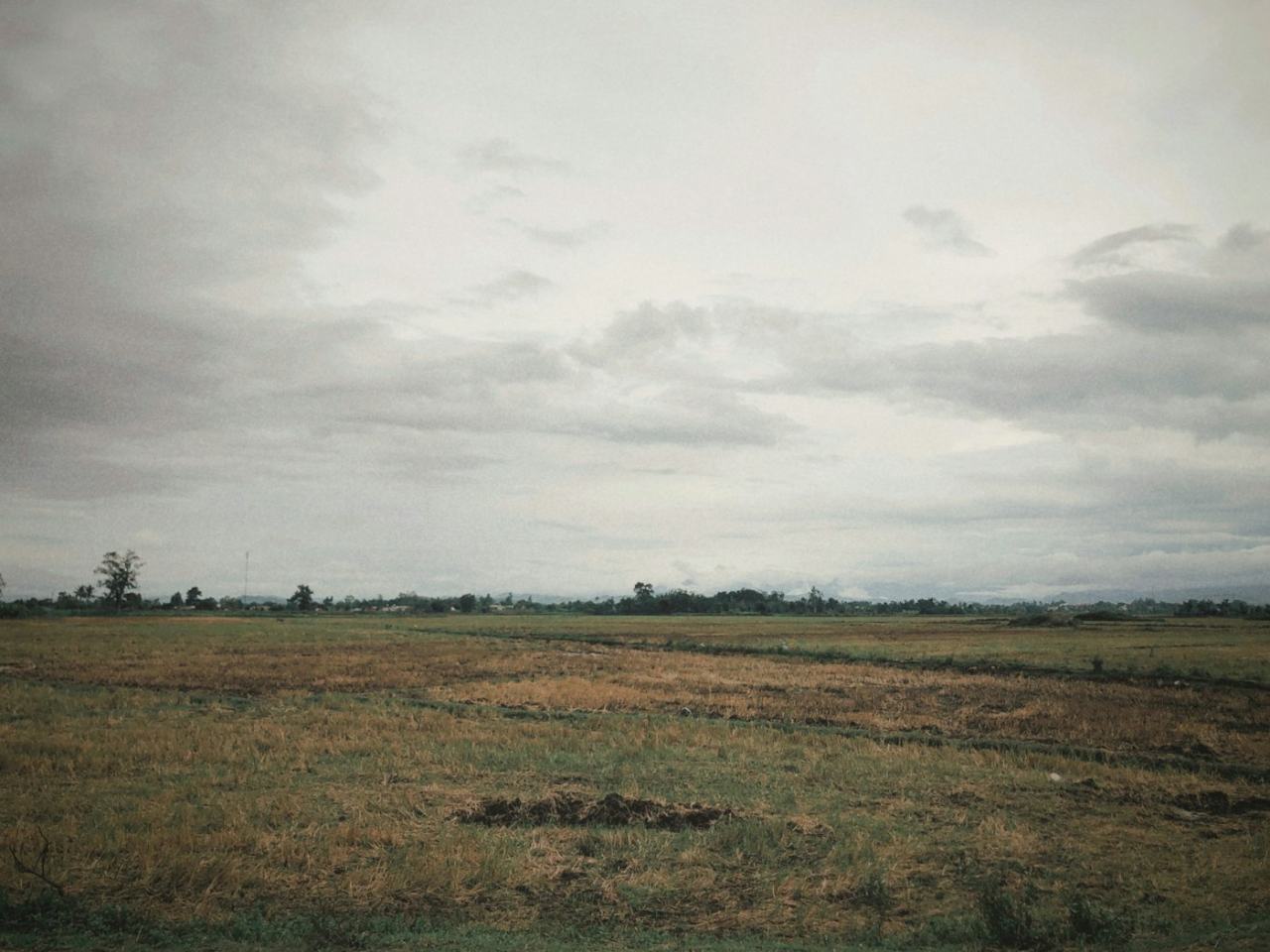 Residential Plot in Sector 4