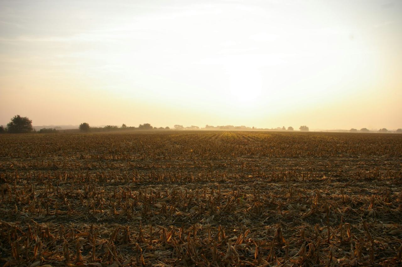Corner Plot near the Lake
